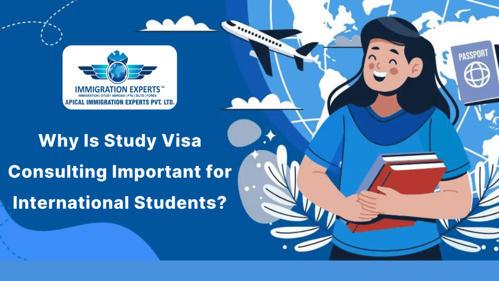 Why Is Study Visa Consulting Important for International Students?