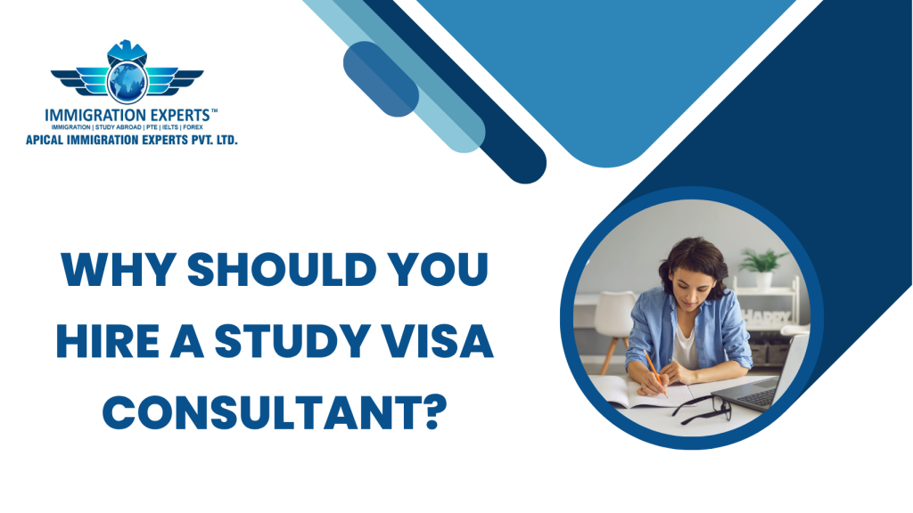 Why Should You Hire a Study Visa Consultant?