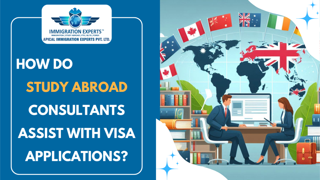How Do Study Abroad Consultants Assist with Visa Applications?